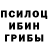 Псилоцибиновые грибы Psilocybe Piter Melnyk
