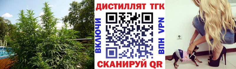 Дистиллят ТГК жижа  Купить  Дегтярск 
