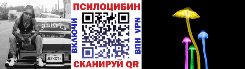 Галлюциногенные грибы Psilocybine cubensis  Купить где  Дегтярск 